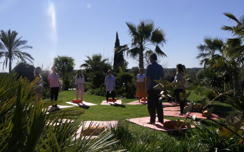 Teilnehmer erleben die Harmonie einer gemeinsamen Meditationsrunde mit sanftem Sonnenlicht im Hintergrund